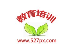 vincent527px头像图片