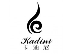 kadinijs头像图片